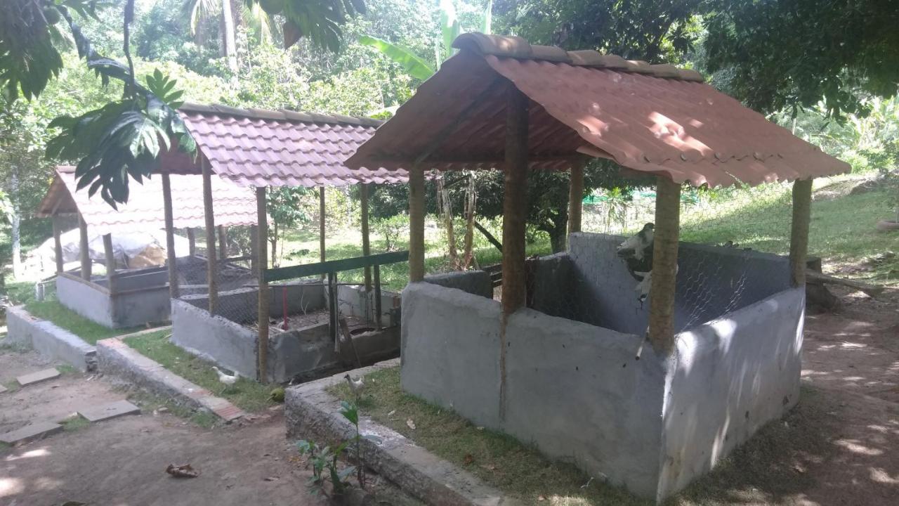 Hotel Fazenda Agua Da Prata Agri Turismo Camaçari Eksteriør bilde